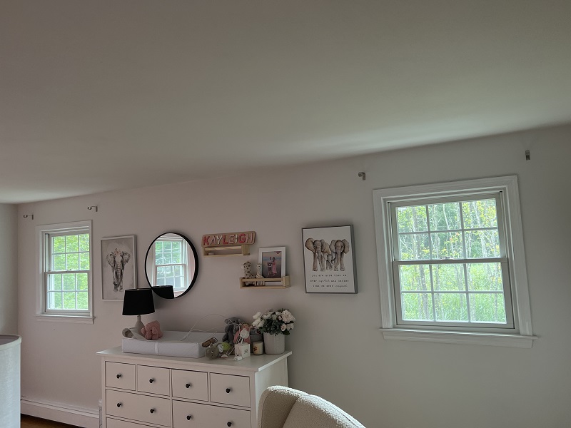 Andersen windows